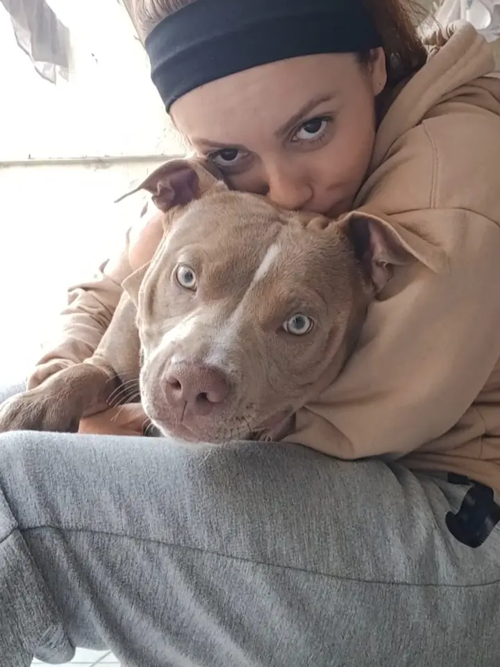 Loki recuperado, com os olhos abertos e tranquilos, no colo da família